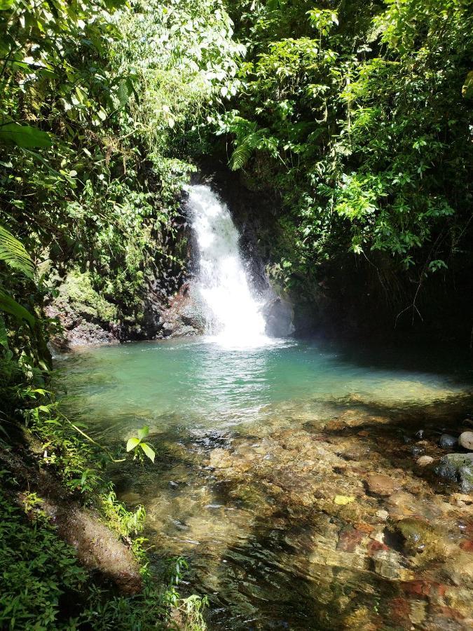 Pozas Y Cascadas La Presa Rio Cuarto Exterior photo